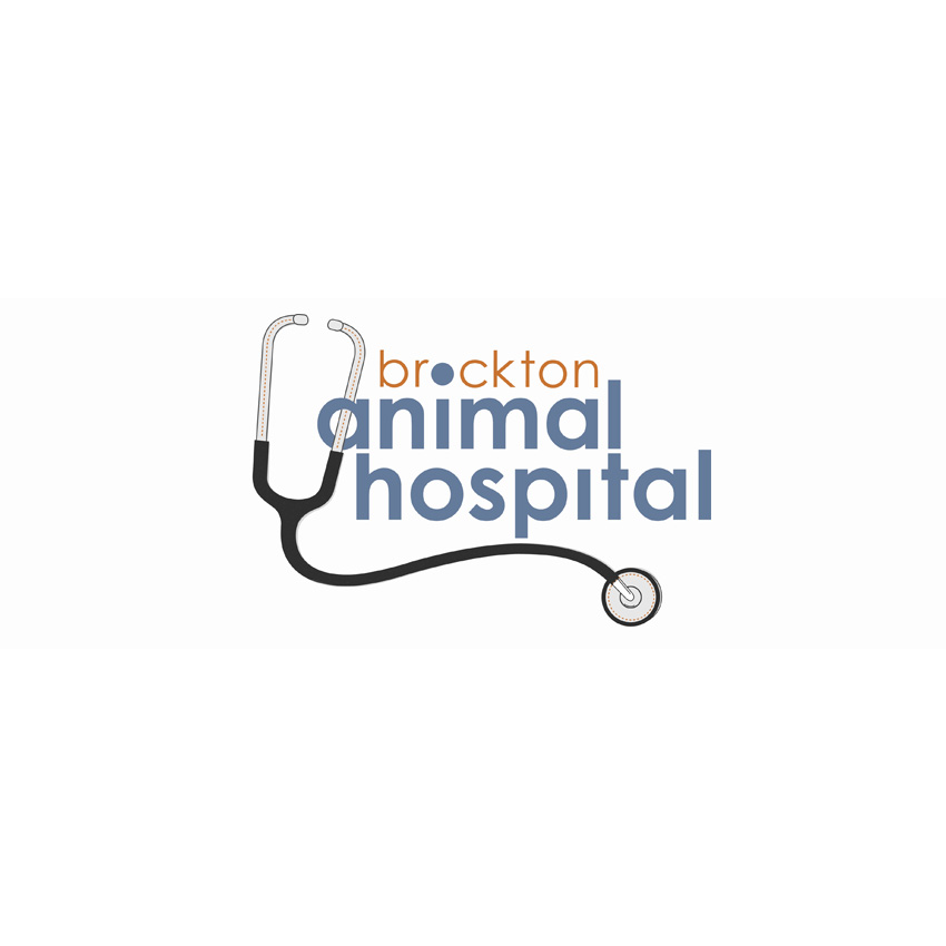 Brockton Animal Hospital | 386 Belmont St, Brockton, MA 02301, USA | Phone: (508) 588-4142