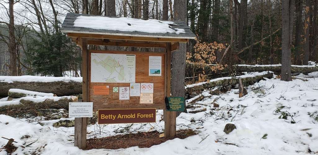 Betty Arnold Forest Desmarais Trailhead | 12-24 Austin Rd, Amherst, NH 03031, USA