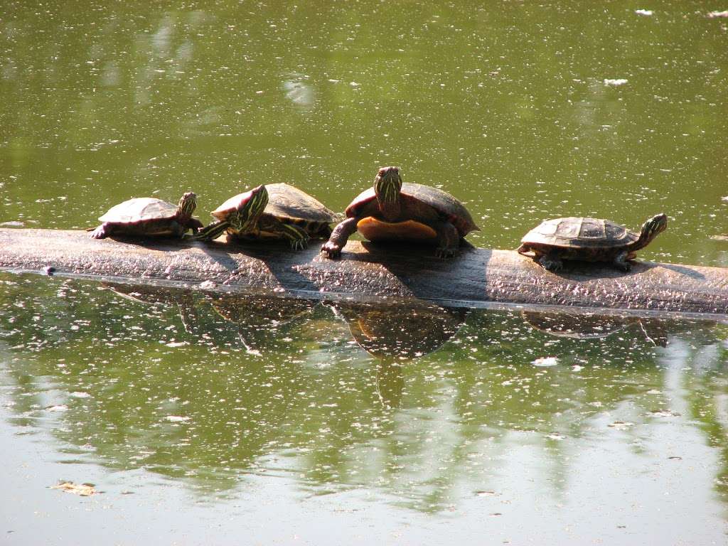 Fountain Rock Nature Center | 8511 Nature Center Place, Walkersville, MD 21793, USA | Phone: (301) 600-4460