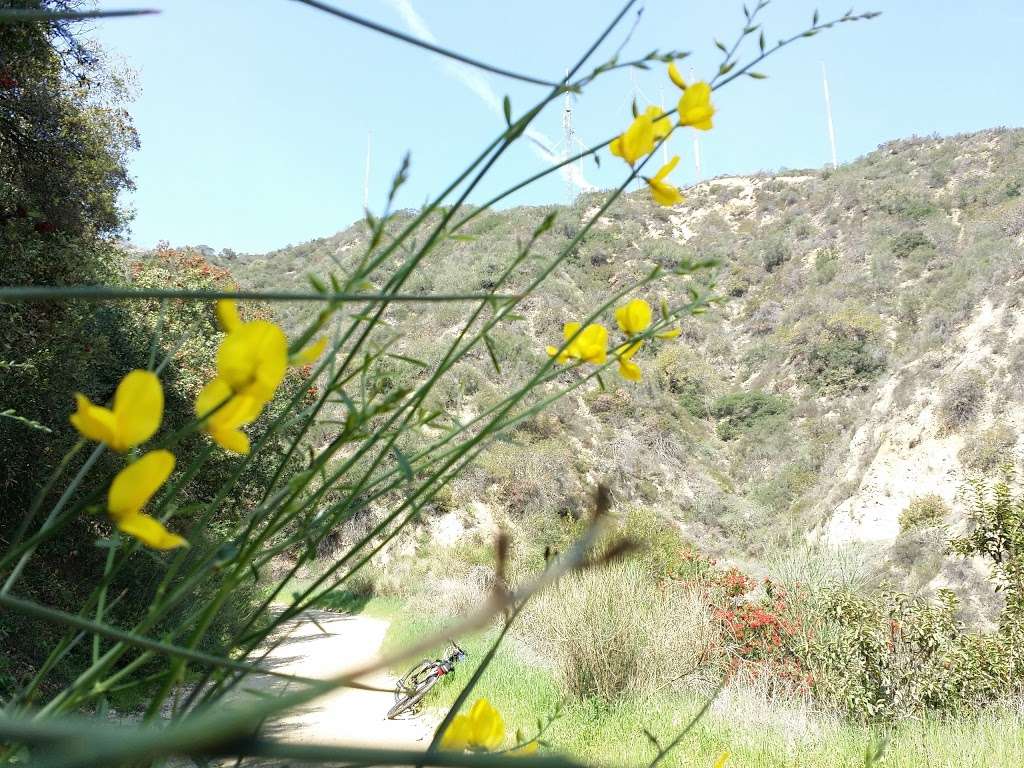 Verdugo Mountain - Beaudry Fire Road Loop | Beaudry North Mtwy, Glendale, CA 91208, USA | Phone: (818) 548-2184