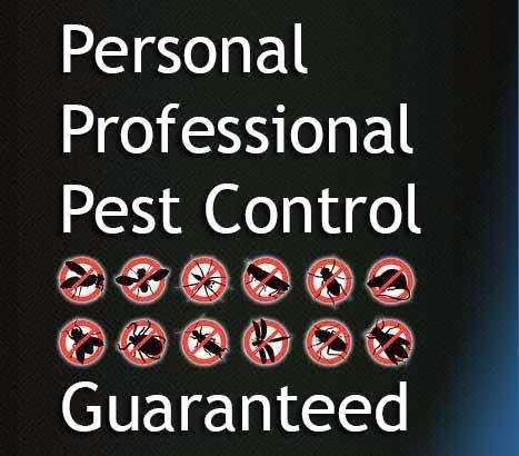 Midwest Exterminating, Pest Control of Westmont and Naperville | 228 N Grant St, Westmont, IL 60559, USA | Phone: (630) 968-0200