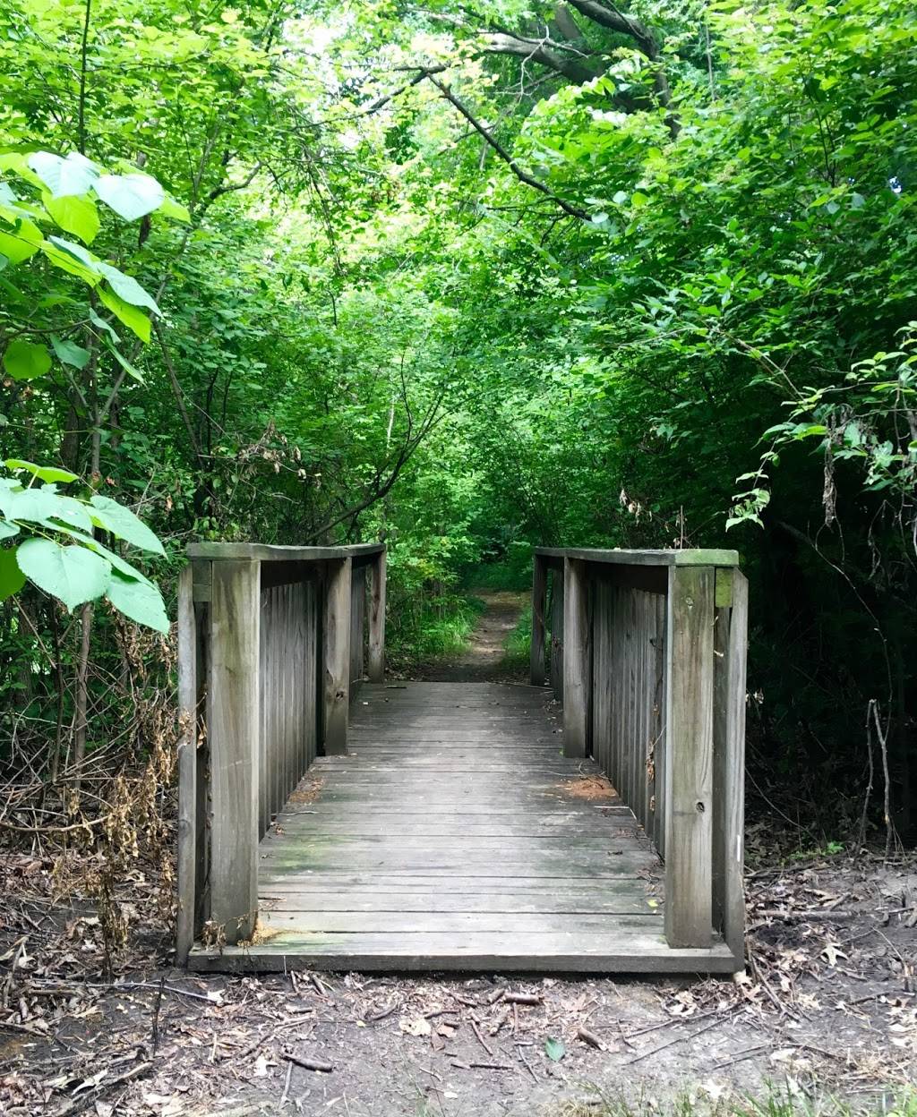 Cheeney Creek Natural Area | 11030 Fishers Pointe Blvd, Fishers, IN 46038, USA | Phone: (317) 595-3150