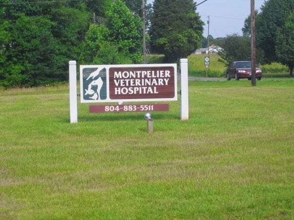 Montpelier Veterinary Hospital | 16752 Mountain Rd, Montpelier, VA 23192, USA | Phone: (804) 883-5511