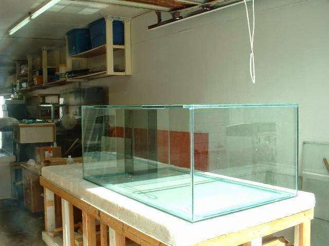 Contemporary Aquarium & Design | 1000 S Dixie Hwy E, Pompano Beach, FL 33060, USA | Phone: (954) 867-8233