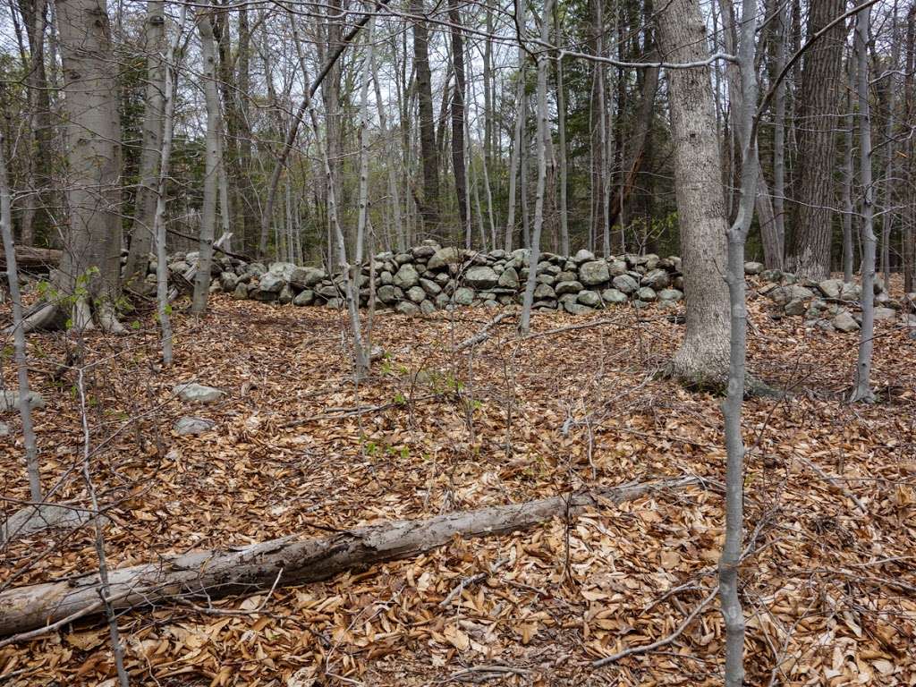 Appalachian Trail | Hewitt, NJ 07421