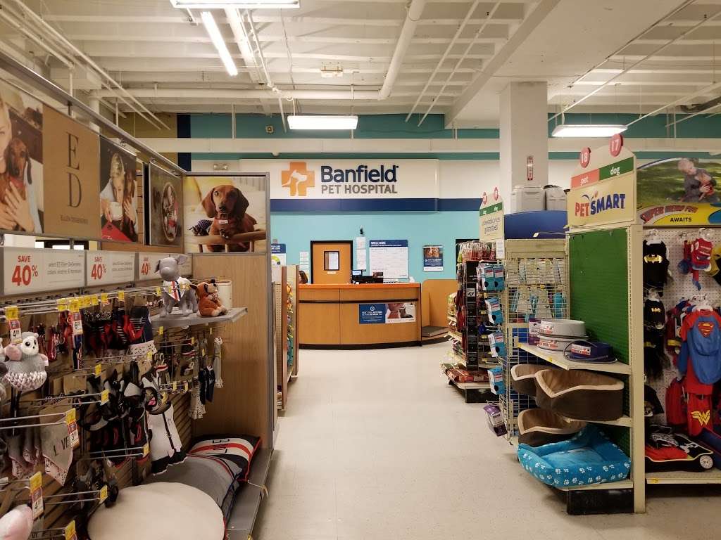 PetSmart | 901 Old York Rd, Jenkintown, PA 19046 | Phone: (215) 885-3635