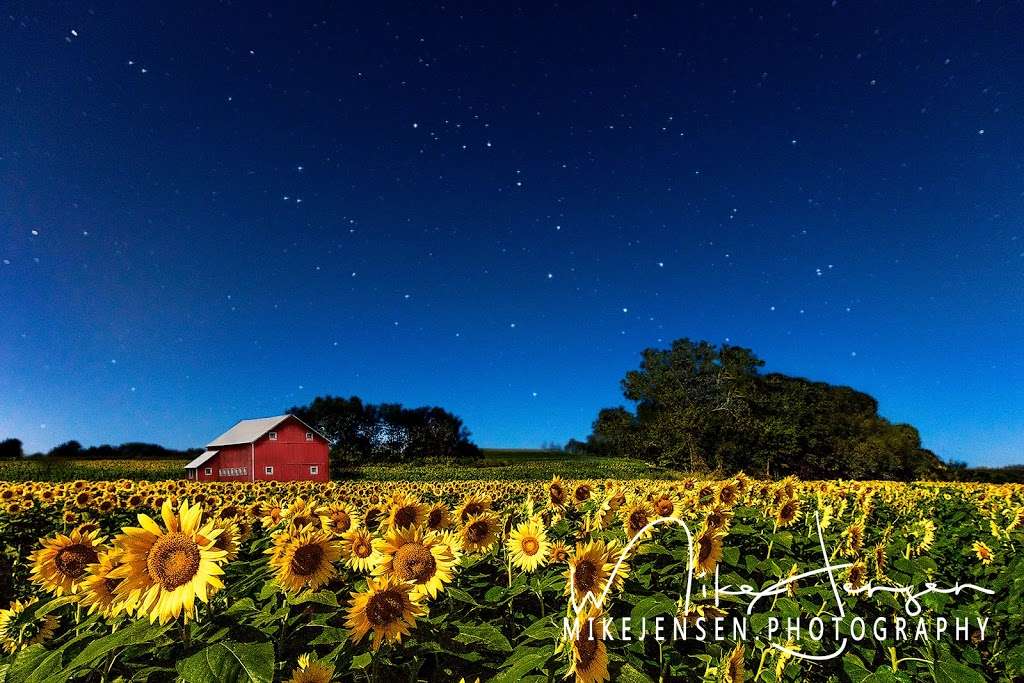 Mike Jensen Photography & Fine Art | 1933, 9153 Allman Rd, Lenexa, KS 66219 | Phone: (913) 304-0495