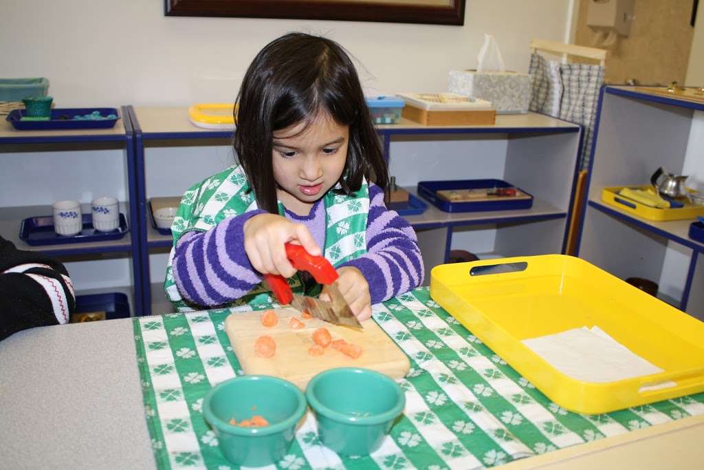 Evergreen Montessori School, Yerba Buena Rd | 3403 Yerba Buena Rd Building D, San Jose, CA 95138, USA | Phone: (408) 238-7001