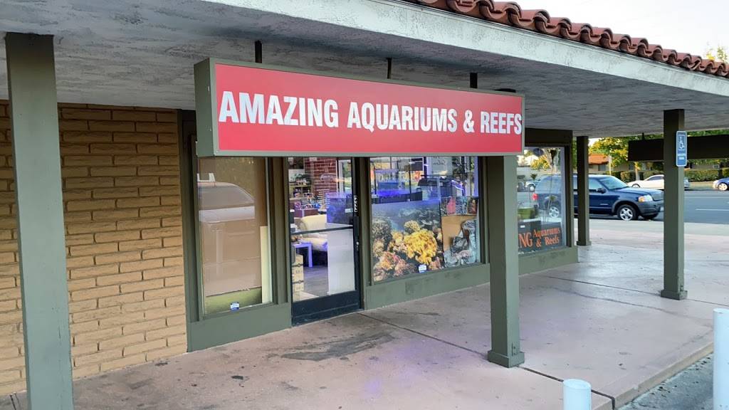 Amazing Aquariums & Reefs | 646 E Katella Ave, Orange, CA 92867, USA | Phone: (714) 928-5299