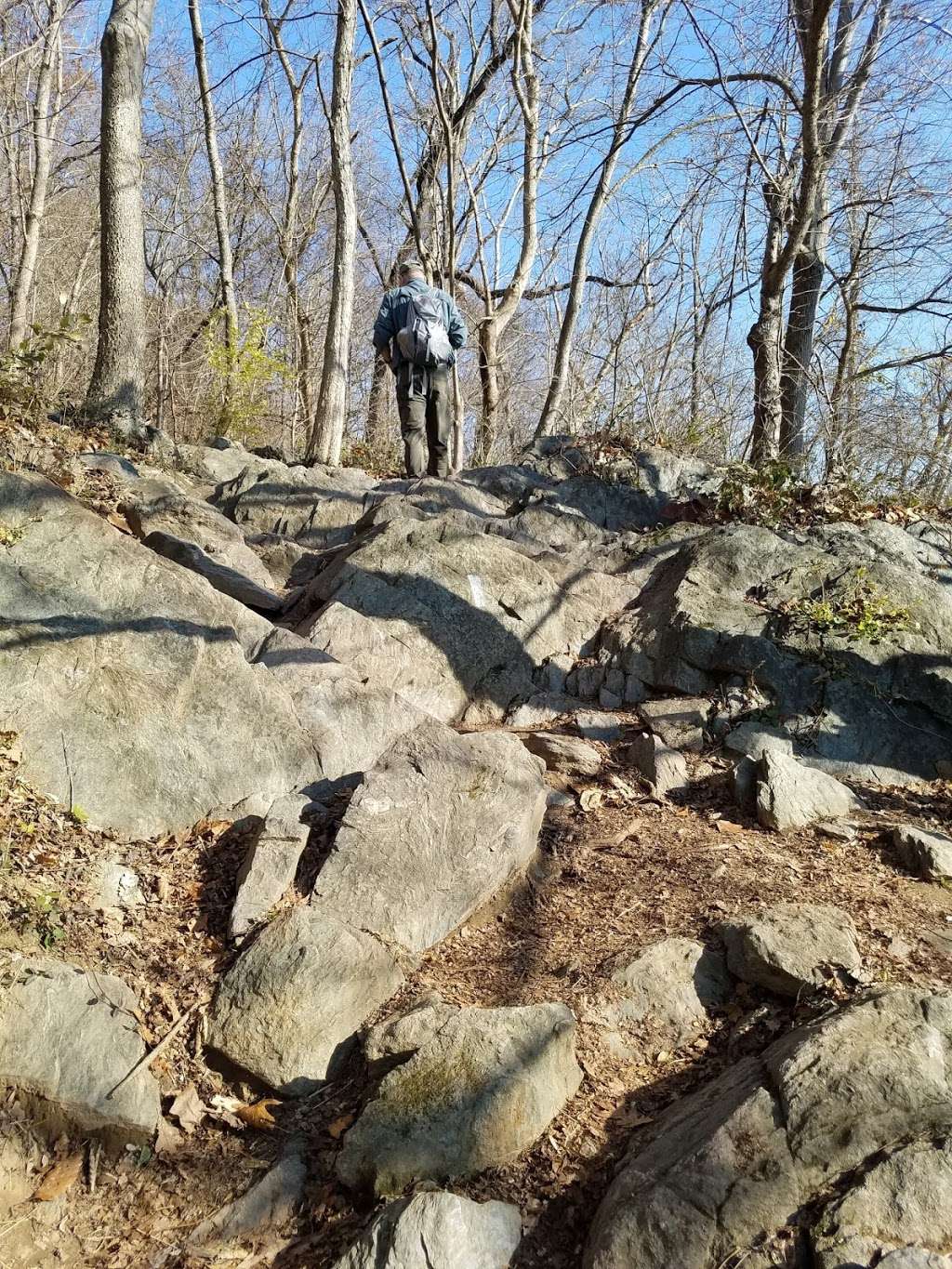 Victory Island Overlook | Billy Goat Trail Section C, Potomac, MD 20854