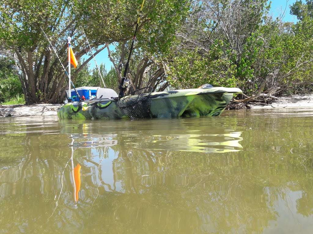 Horseshoe Crab Island | Titusville, FL 32796, USA