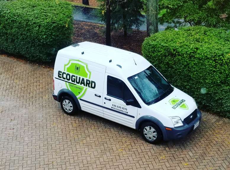 EcoGuard Pest Control | 1727 Stoddard Ave, Wheaton, IL 60187, USA | Phone: (630) 251-5000