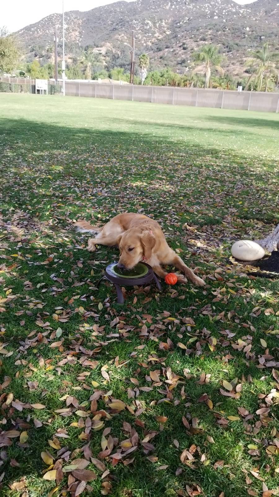 Hidden Valley Obedience Club | 3396 E Valley Pkwy, Escondido, CA 92027, USA