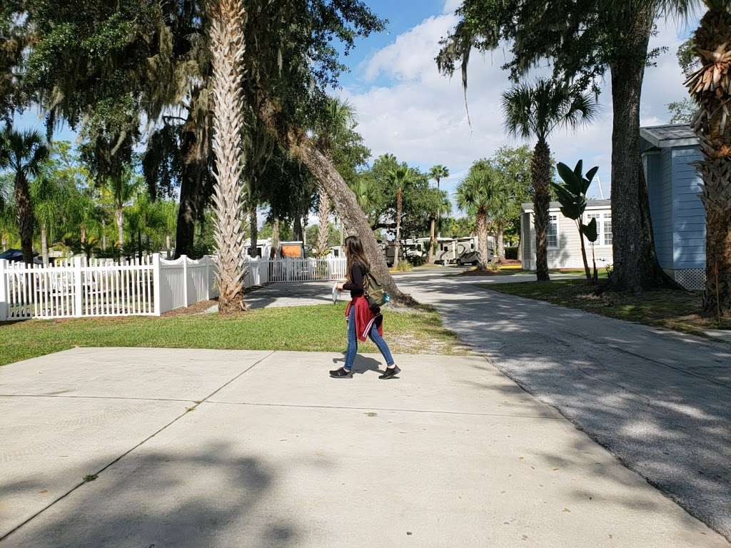 Tropical Palms - Fun Resort | 2650 Holiday Trail, Kissimmee, FL 34746, USA | Phone: (407) 396-4595