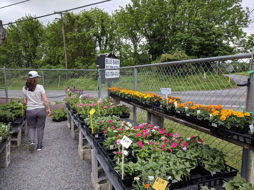 Blue Barn Nursery Store 3890 Hollo Rd Easton Pa 18045 Usa