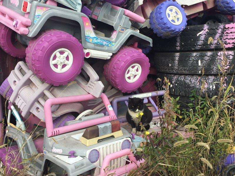 Pic-A-Part Home of Junk Yard Barbie | 820 Old 13, Morrisville, PA 19067 | Phone: (215) 295-7610