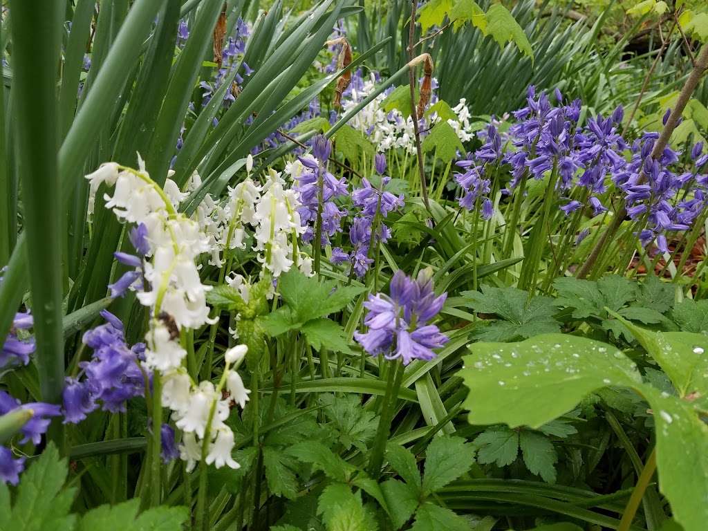 Jerry E. Clegg Botanic Gardens | N 400 E, Lafayette, IN 47905, USA | Phone: (765) 423-1325