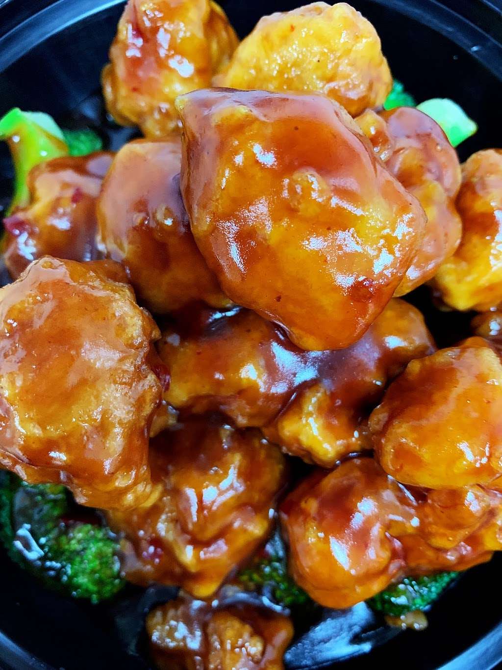 Szechuan Delight | 740 Cady Dr, Fort Washington, MD 20744 | Phone: (301) 248-2484