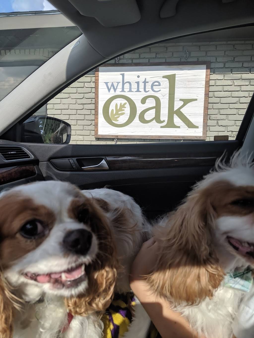 White Oak Animal Hospital | 2721 ONeal Ln, Baton Rouge, LA 70816, USA | Phone: (225) 751-2345