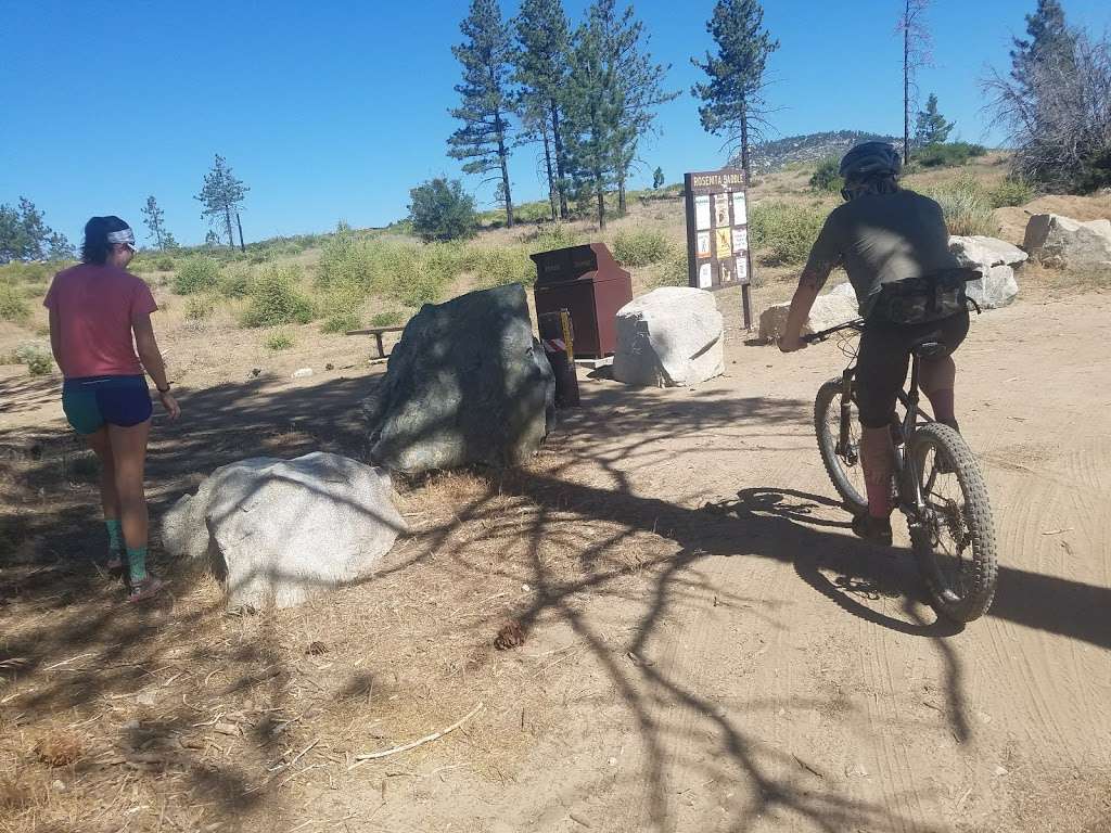 Rosenita Saddle Trailhead | Forest Service Rd 3N17, Pearblossom, CA 93553