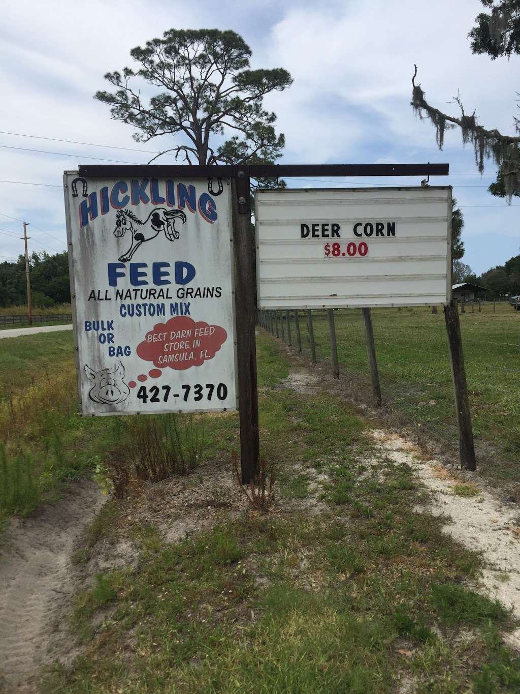 Hickling Feed Inc. | 527 N Samsula Dr, New Smyrna Beach, FL 32168, USA | Phone: (386) 427-7370