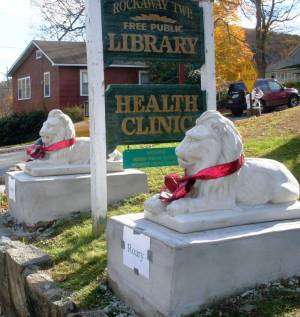 Hibernia Branch Library | 419 Green Pond Rd, Hibernia, NJ 07842 | Phone: (973) 627-6872