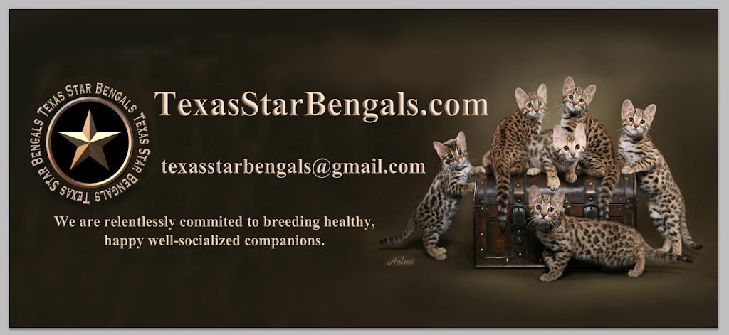 Texas Star Bengals | Lavon, TX 75166, USA | Phone: (214) 552-0901