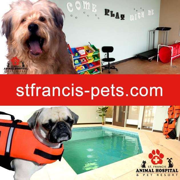 St. Francis Animal Hospital and Pet Resort | 18111 Katy Fwy Suite B, Houston, TX 77094, USA | Phone: (281) 599-7387