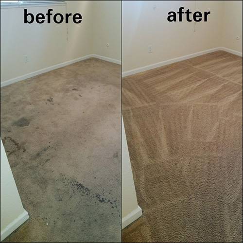 Best Carpet Solution | 10412 Katie Creek Ct, Charlotte, NC 28213, USA | Phone: (704) 236-8634