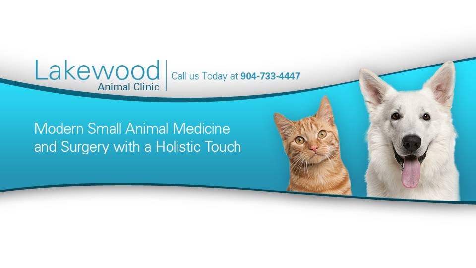 Lakewood Animal Clinic | 6052 San Jose Blvd, Jacksonville, FL 32217, USA | Phone: (904) 733-4447