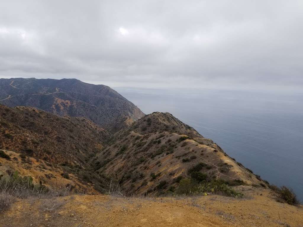 Lone Tree View Point | Lone Tree Road, Avalon, CA 90704, USA