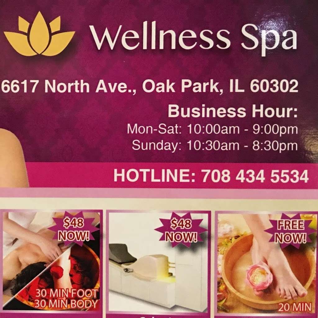 The Wellness Spa | 6617 W North Ave, Oak Park, IL 60302, USA | Phone: (708) 434-5534