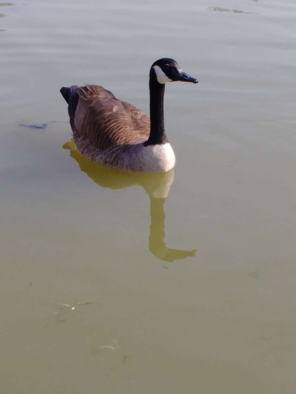 Font Hill Park | Ellicott City, MD 21042, USA