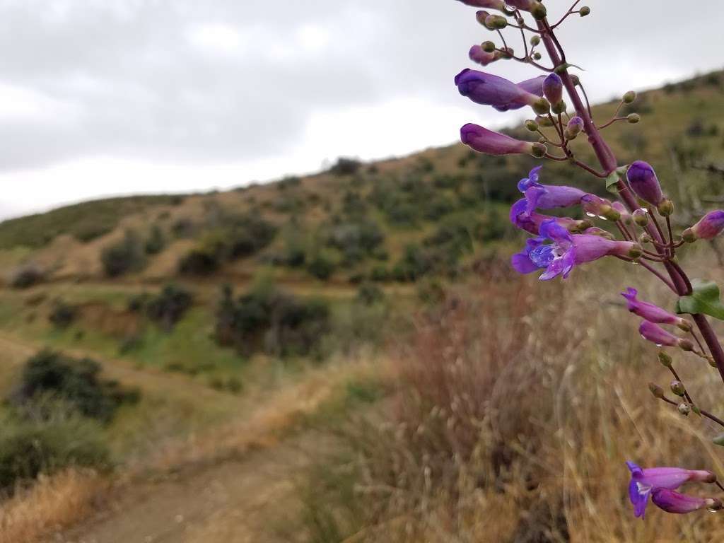 Grape Ave Trail | Grape Ave Trail, Yucaipa, CA 92399, USA