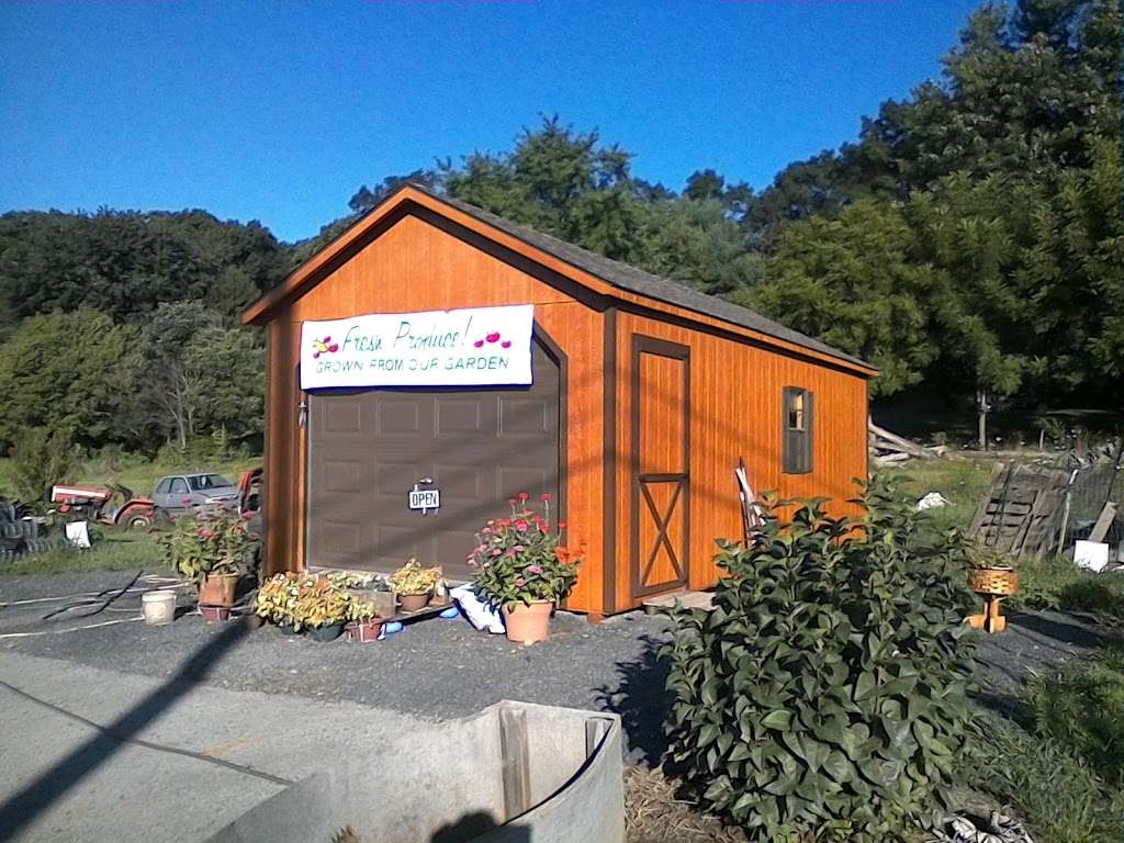 copenhaver,s home grown produce and Eggs | 171 Co Rte 9/1, Hedgesville, WV 25427, USA | Phone: (304) 258-4388
