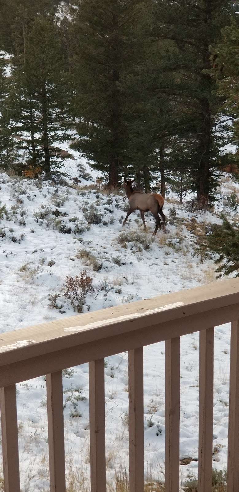 Moosquin Cabin YMCA | 38 Mesa Dr, Estes Park, CO 80517, USA