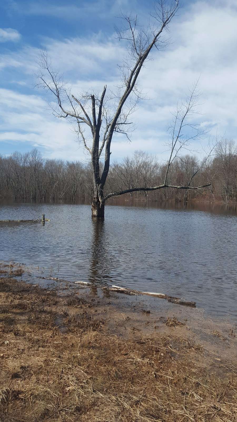 Old Calf Pasture | 20A Lowell Rd, Concord, MA 01742