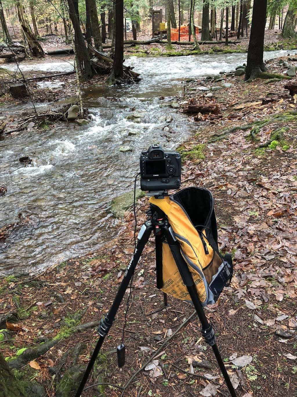 Falls Natural Trail, Ricketts Glen | PA-118, Benton, PA 17814, USA