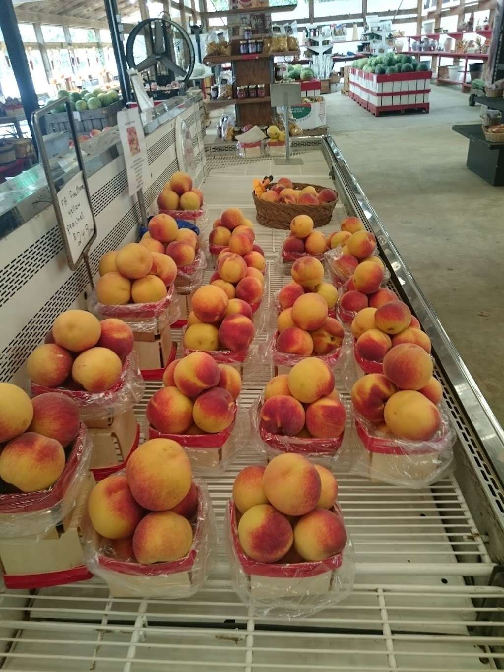 Adams Fruit Market | 2239 Seashore Hwy, Greenwood, DE 19950 | Phone: (302) 349-4924