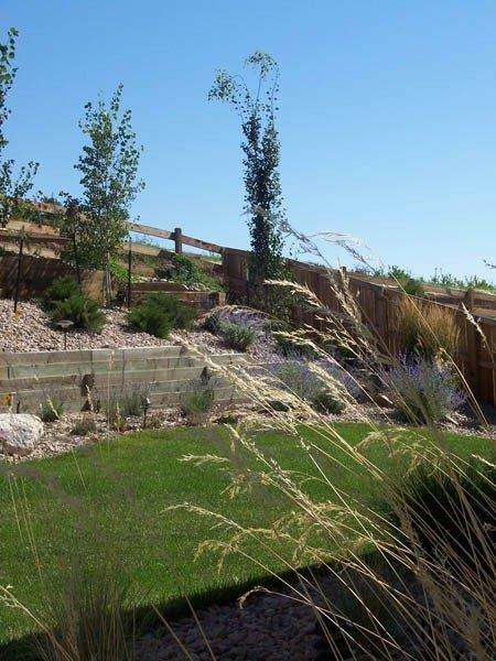 Pioneer Landscape Centers | 2123 1st St, Berthoud, CO 80513, USA | Phone: (970) 532-4126