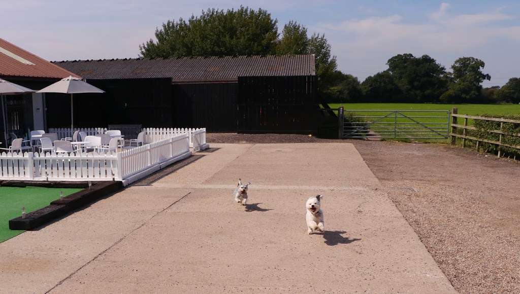 Paws For Thought Groomers & Retreats | Battlers Green Farm, Common Ln, Radlett WD7 8PH, UK | Phone: 01923 545680