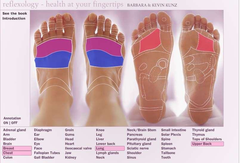 Sole Dancer Reflexology & Essential Oils | 445 Main St, Prince Frederick, MD 20678, USA | Phone: (240) 216-0686