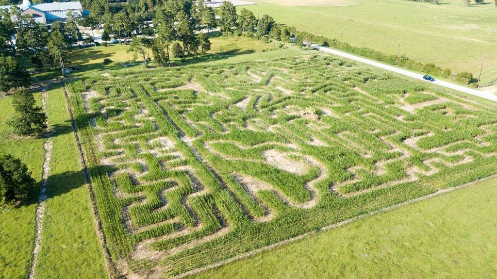 Tomball Corn Maze | 22601 Lutheran Church Rd, Tomball, TX 77377, USA | Phone: (346) 800-2676