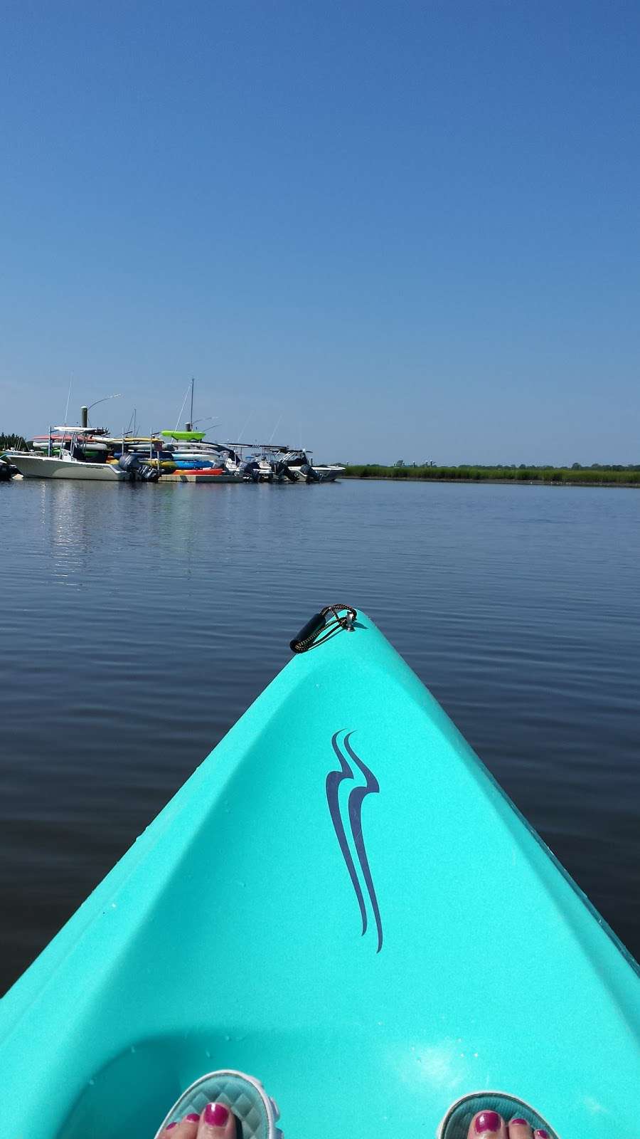 Miss Chris Marina and Kayaks | 1212 Wilson Dr, Cape May, NJ 08204, USA | Phone: (609) 884-3351