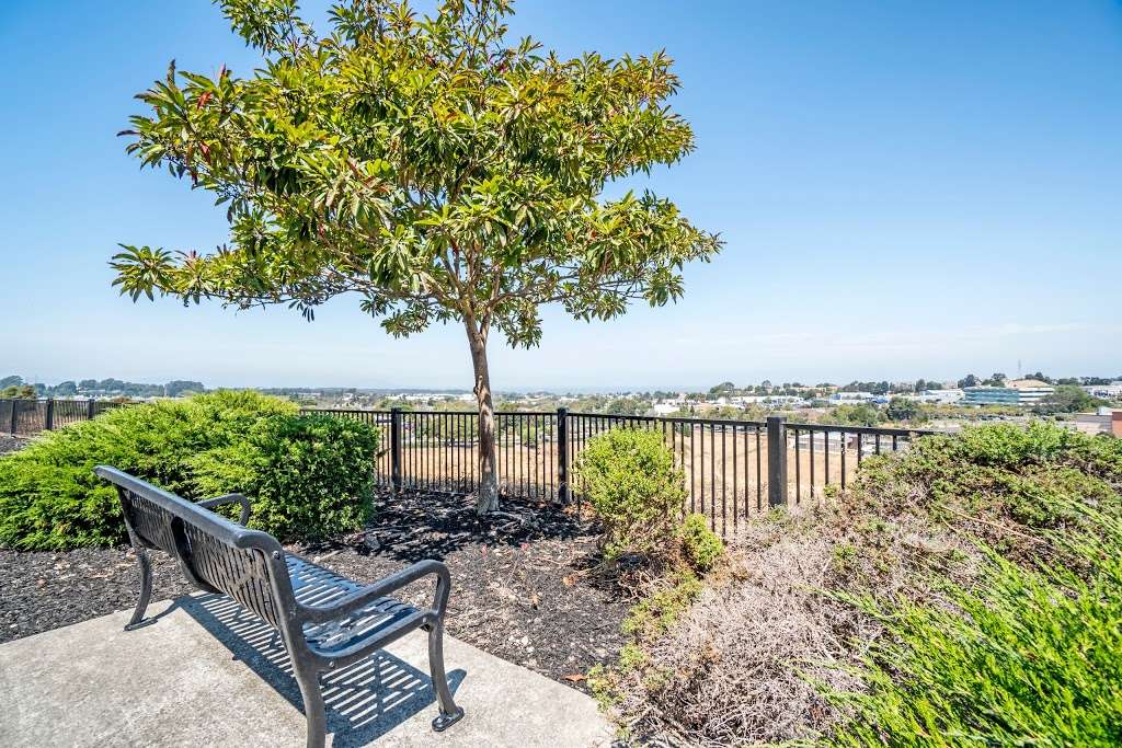 The Tides Apartments | 3185 Garrity Way, Richmond, CA 94806 | Phone: (510) 758-6874