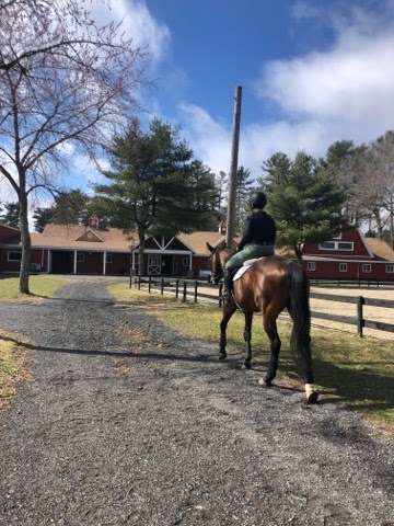 Hudson Derby Stables | 21 Plymouth St, Halifax, MA 02338, USA | Phone: (508) 566-5450