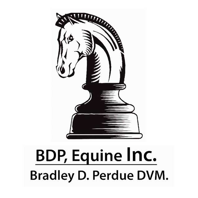 Bradley D Perdue Equine | 434 Laguna Terrace, Simi Valley, CA 93065, USA | Phone: (805) 581-2613