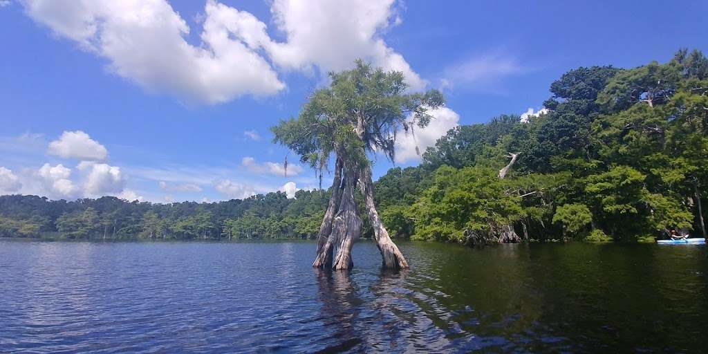 Lake Norris Conservation Area | Eustis, FL 32736, USA | Phone: (352) 343-3777