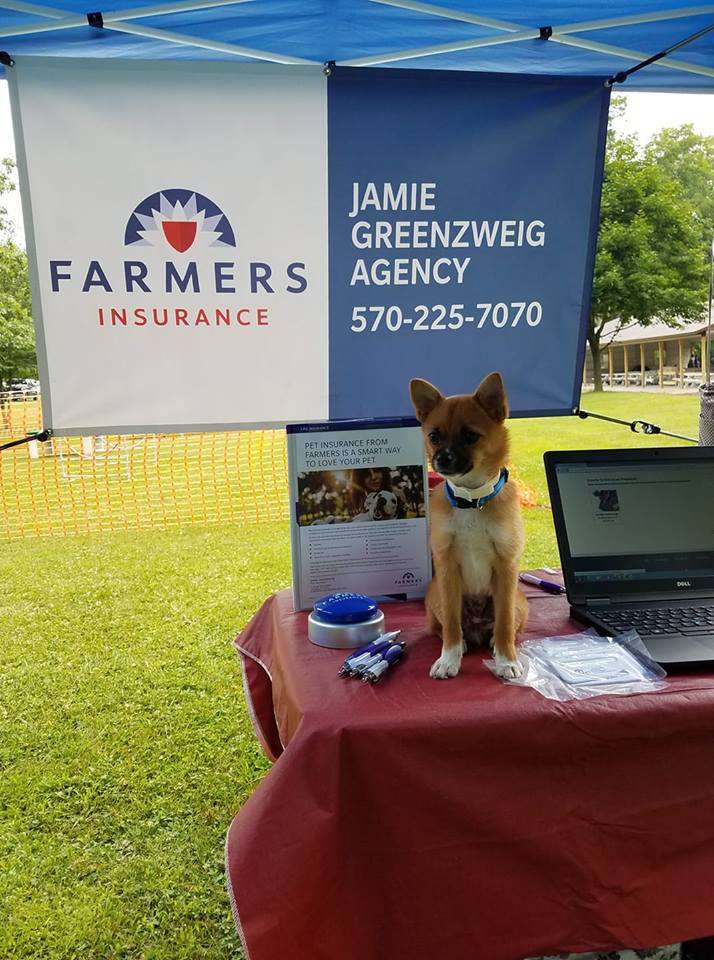 Farmers Insurance - Jamie Greenzweig | 1130 E Broad St, Tamaqua, PA 18252 | Phone: (570) 225-7070