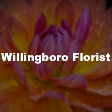 Willingboro Florist | 320 Beverly Rancocas Road, 3C, Willingboro, NJ 08046, USA | Phone: (609) 948-8816